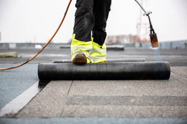 Best Asphalt Shingle Roofing  in Marceline, MO